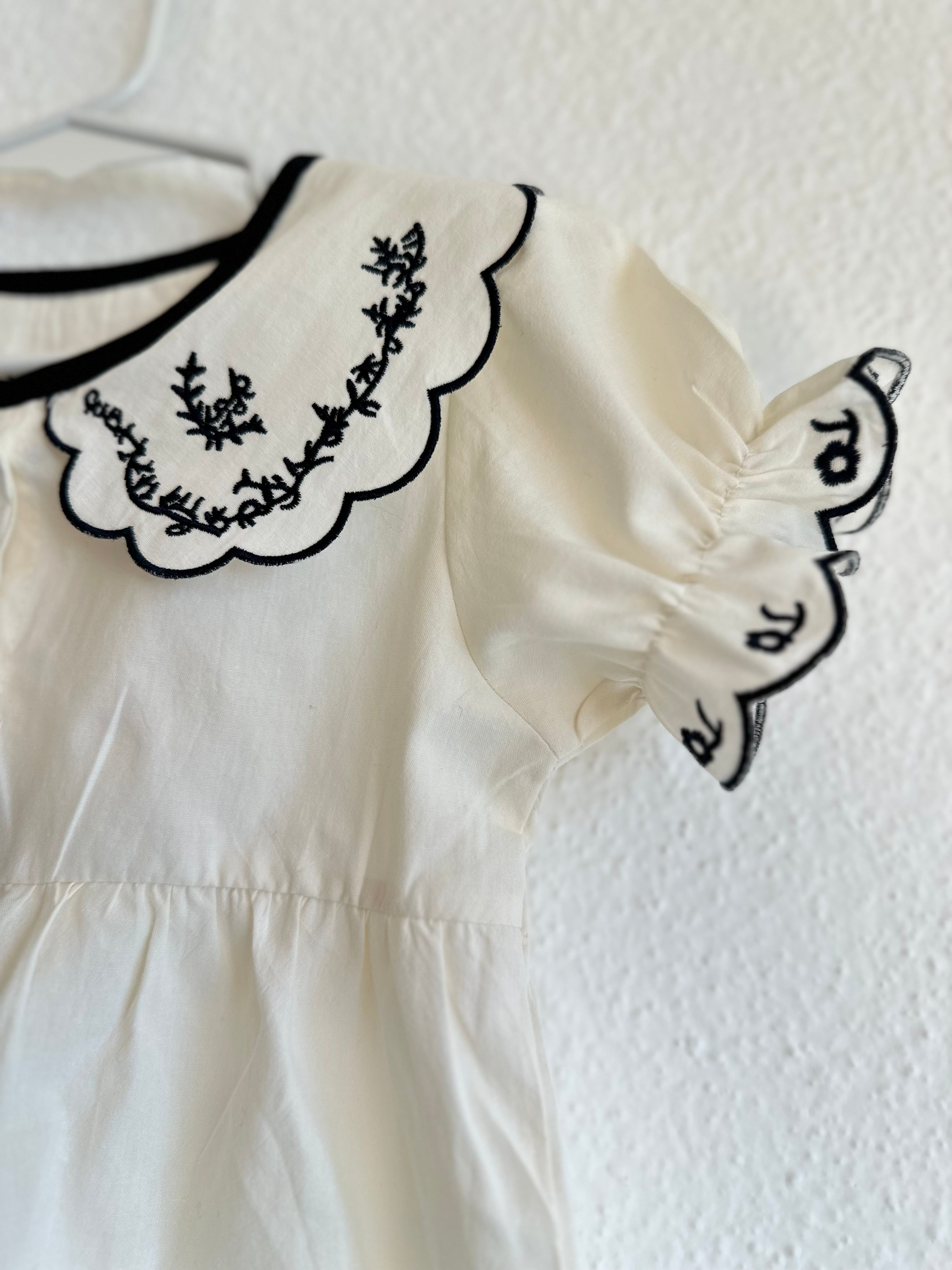 White butterfly