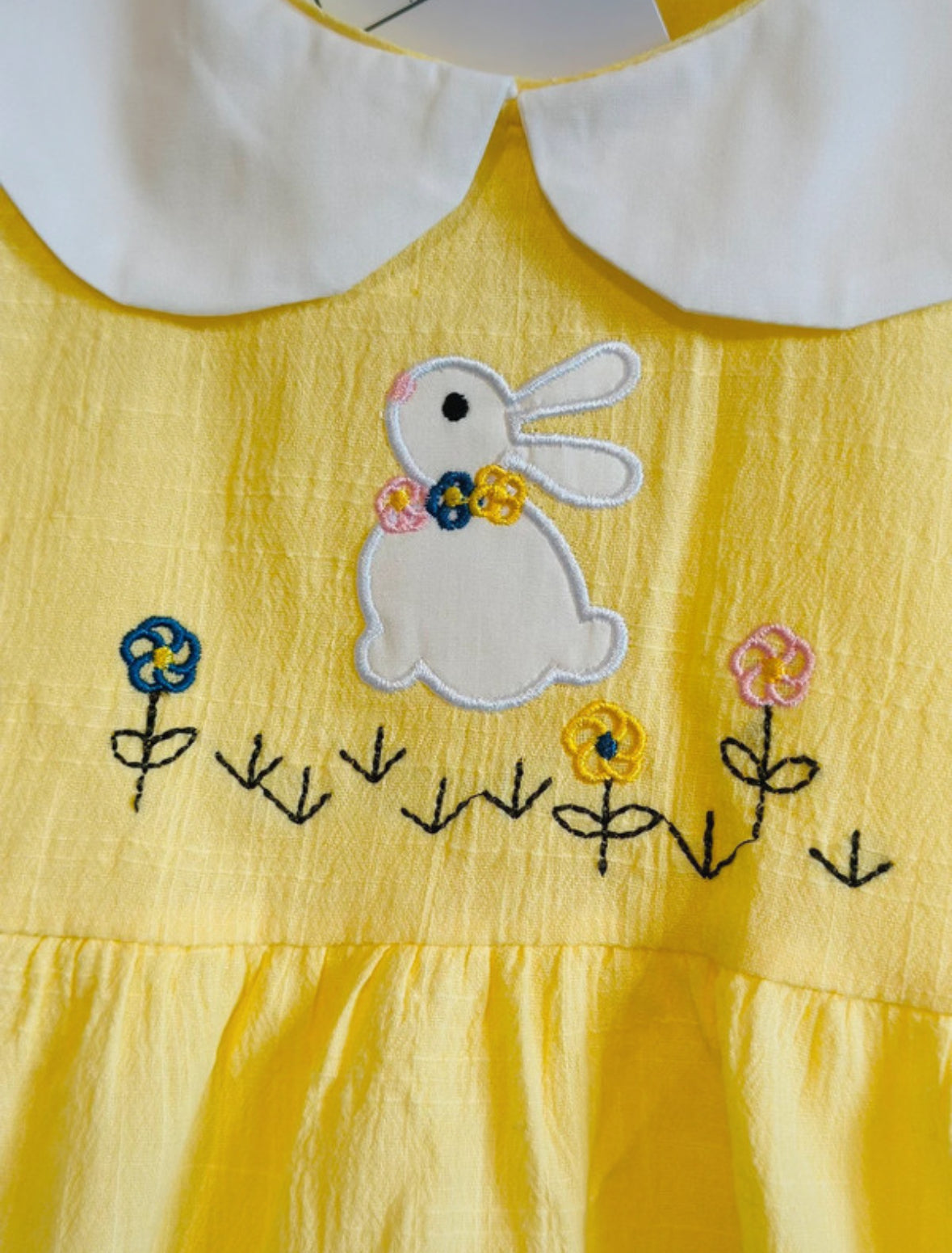 Sunny Bunny